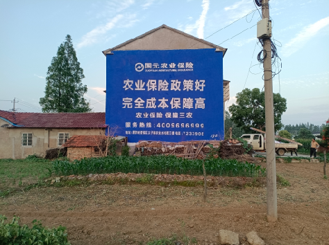 临湘墙体广告的优劣势你知道吗?